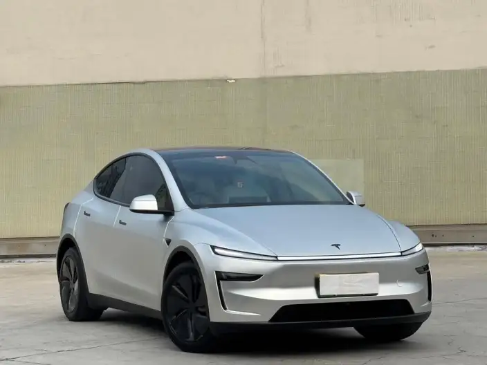 Model Y 2025 Model Rear-wheel drive version – фото 3