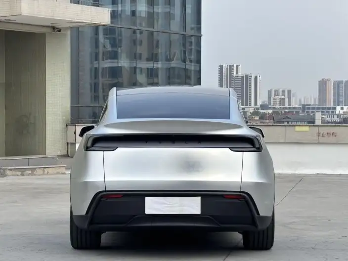 Model Y 2025 Model Rear-wheel drive version – фото 5