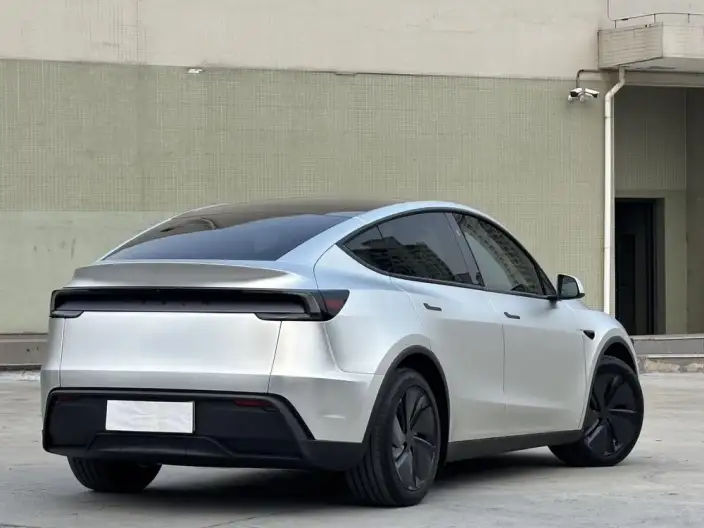 Model Y 2025 Model Rear-wheel drive version – фото 6