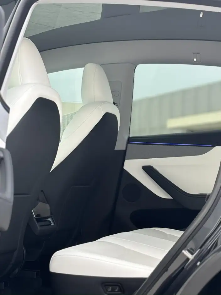 Model Y 2025 Model Rear-wheel drive version – фото 10
