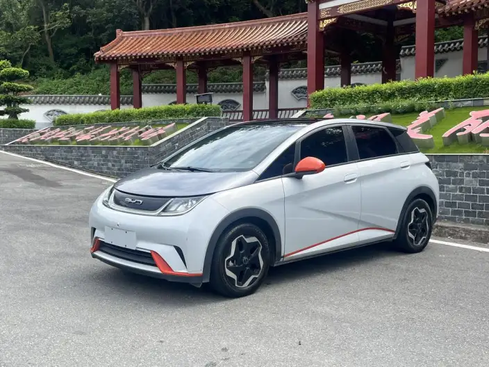 BYD Dolphin 2021 Model Fashion Edition – фото 1