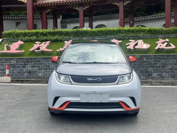 BYD Dolphin 2021 Model Fashion Edition – фото 2