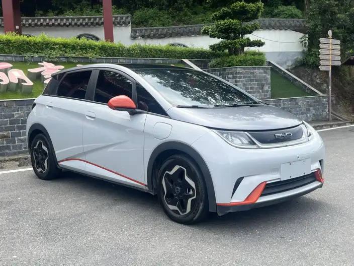 BYD Dolphin 2021 Model Fashion Edition – фото 3