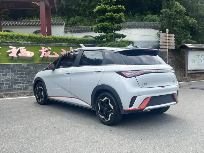 BYD Dolphin 2021 Model Fashion Edition – фото 4