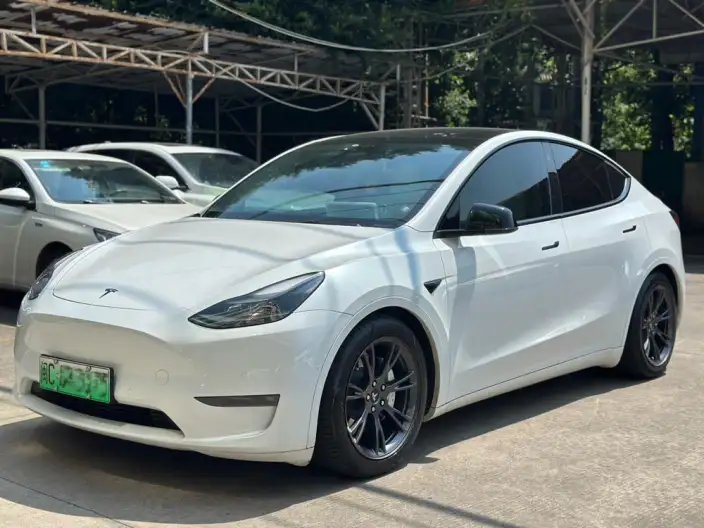 Model Y 2021 Model Long Battery Life Pro All-wheel drive version – фото 1