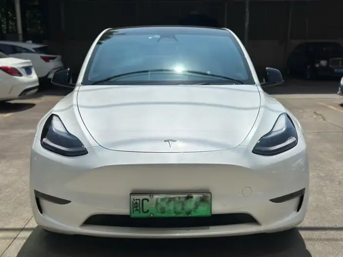 Model Y 2021 Model Long Battery Life Pro All-wheel drive version – фото 2