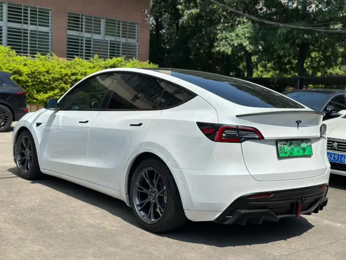 Model Y 2021 Model Long Battery Life Pro All-wheel drive version – фото 3