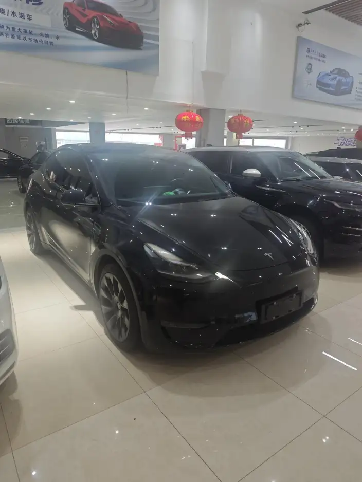 Model Y 2021 Model Standard Battery Life Rear-wheel drive version – фото 2