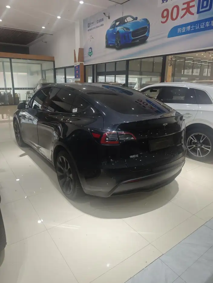 Model Y 2021 Model Standard Battery Life Rear-wheel drive version – фото 3