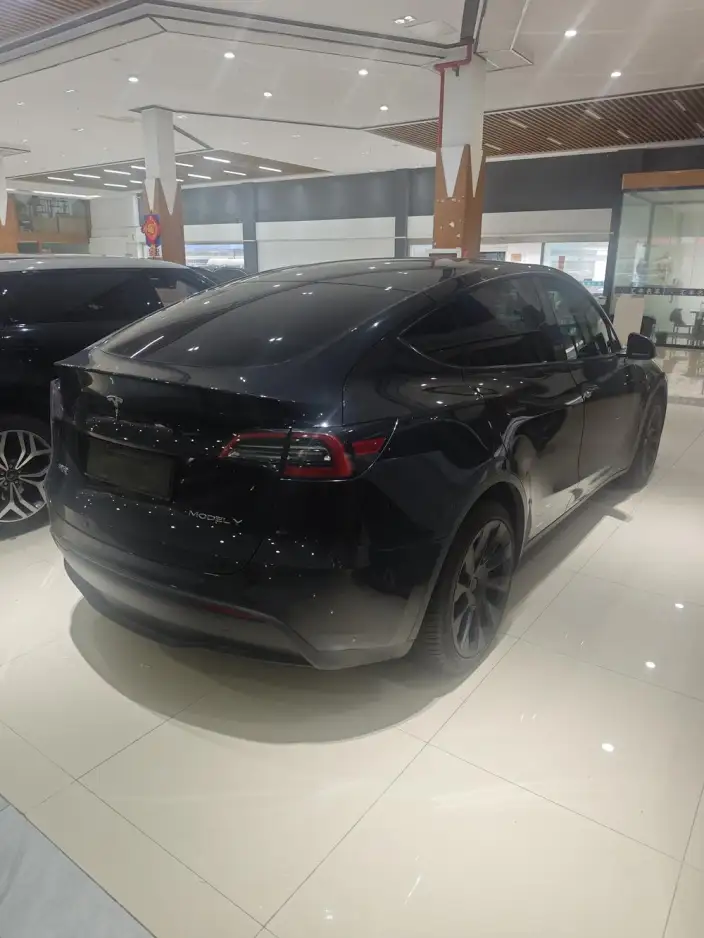 Model Y 2021 Model Standard Battery Life Rear-wheel drive version – фото 4