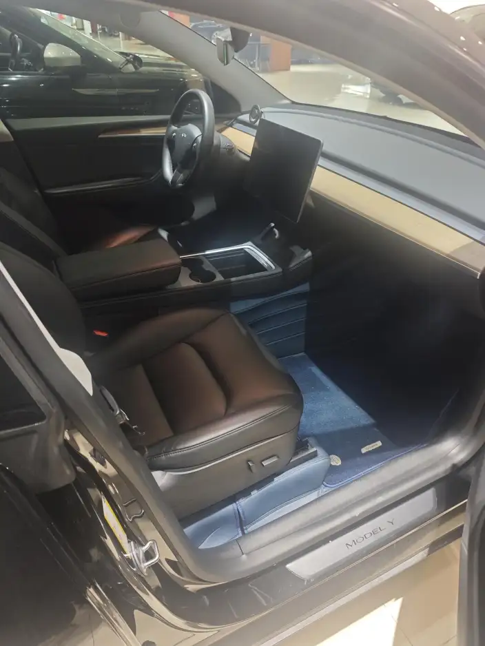 Model Y 2021 Model Standard Battery Life Rear-wheel drive version – фото 5
