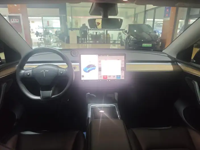 Model Y 2021 Model Standard Battery Life Rear-wheel drive version – фото 7