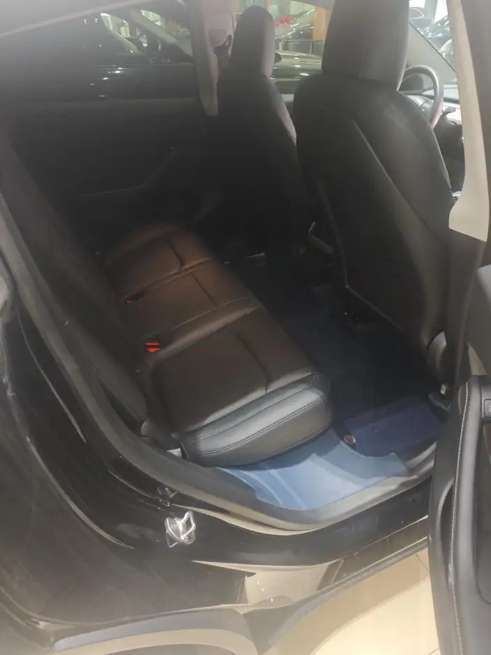 Model Y 2021 Model Standard Battery Life Rear-wheel drive version – фото 8