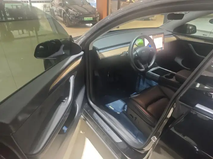Model Y 2021 Model Standard Battery Life Rear-wheel drive version – фото 9