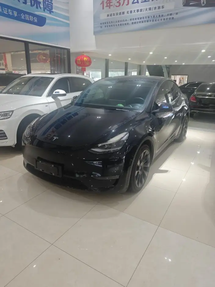 Model Y 2021 Model Standard Battery Life Rear-wheel drive version – фото 10