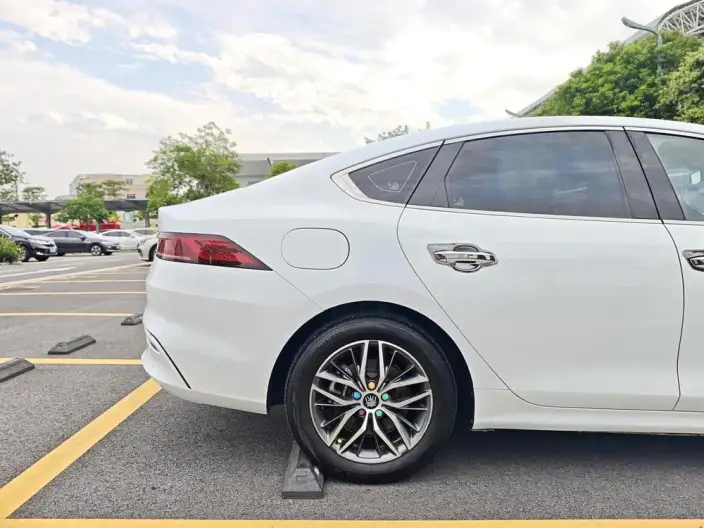 Qin Plus EV 2021 Model 500KM Noble Model – фото 6
