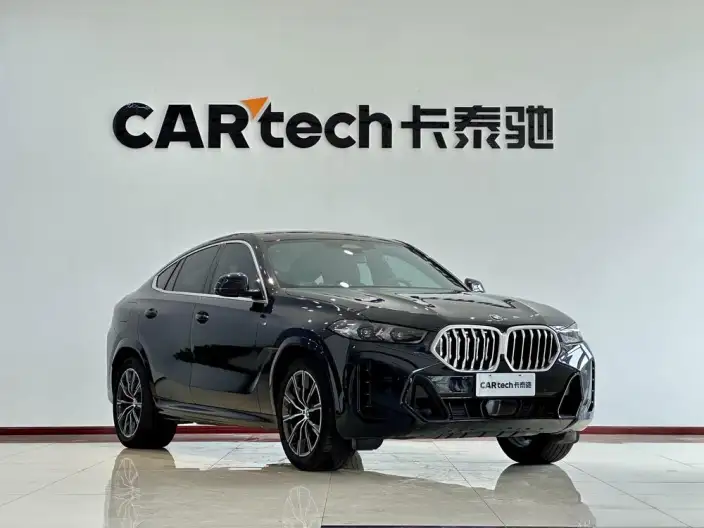 BMW X6 2023 Model xDrive30i M Sports Set – фото 3