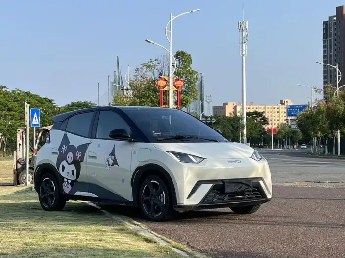 BYD Seagull 2024 Model Honor Edition 405KM Feixiang Edition – фото 3