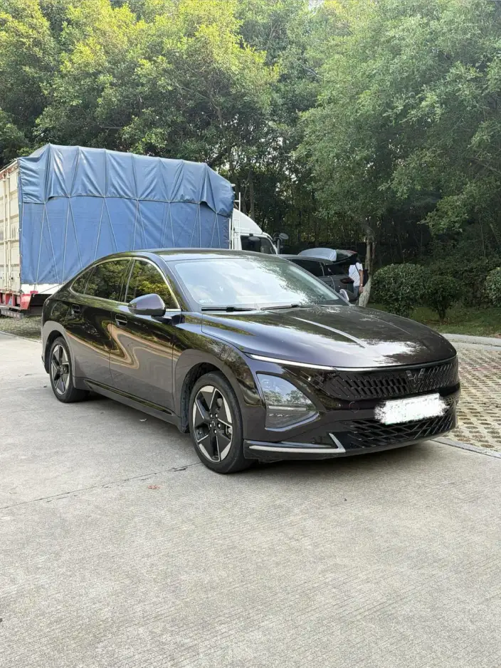 Wuling Xingguang PHEV 2023 Model 150 Advanced version – фото 3