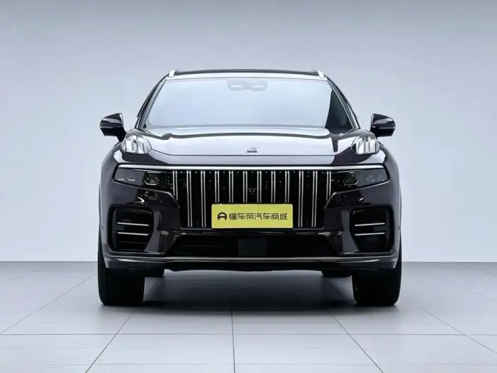 Lynk & Co 09 EM-P 2021 Model 2.0TD Performance version VII seat Ultra – фото 2