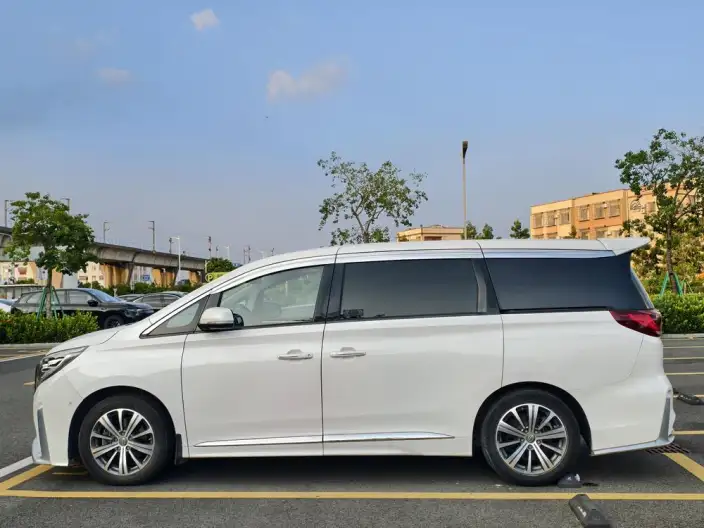 GAC Trumpchi M8 2020 Model Pilot Model 390T Premium Edition – фото 4