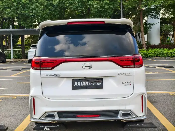 GAC Trumpchi M8 2020 Model Pilot Model 390T Premium Edition – фото 6