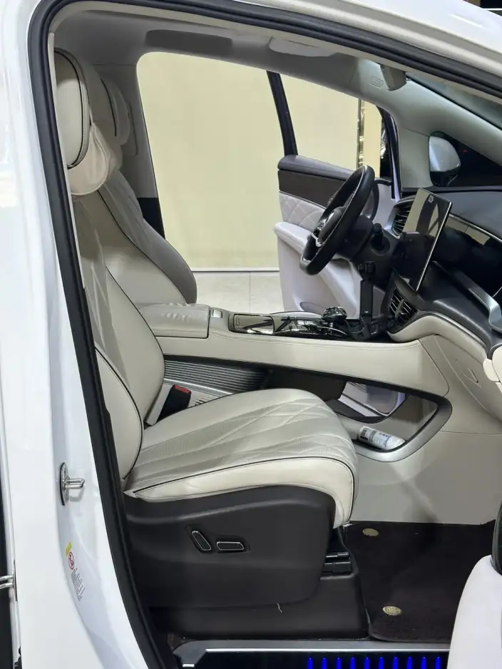 DENZA D9 DM 2024 Model 970 Luxury Model – фото 10
