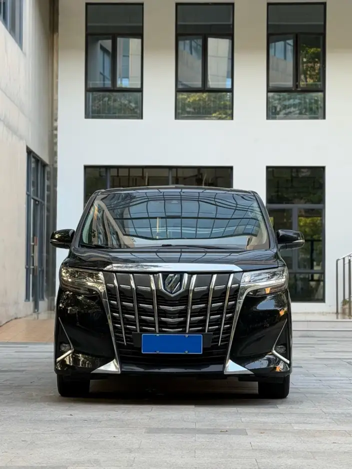Elfa 2020 Model Hybrid 2.5L Deluxe Edition – фото 2