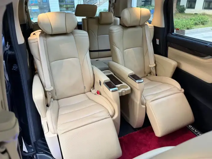 Elfa 2020 Model Hybrid 2.5L Deluxe Edition – фото 6
