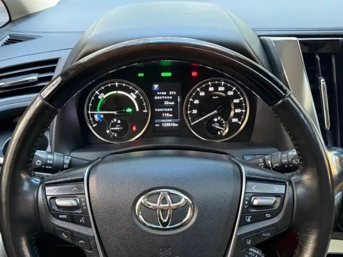 Elfa 2020 Model Hybrid 2.5L Deluxe Edition – фото 8
