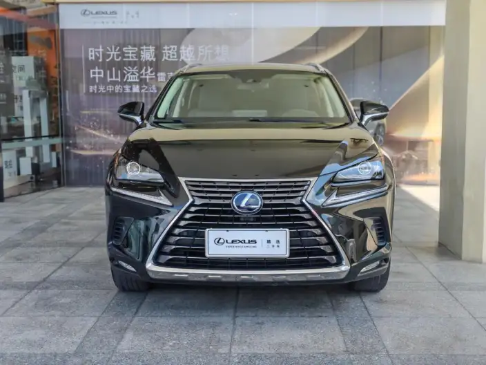 Lexus NX 2020 Model 300h Qian Drive Fengshang Edition China VI – фото 2