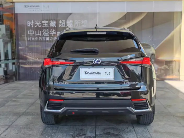 Lexus NX 2020 Model 300h Qian Drive Fengshang Edition China VI – фото 4