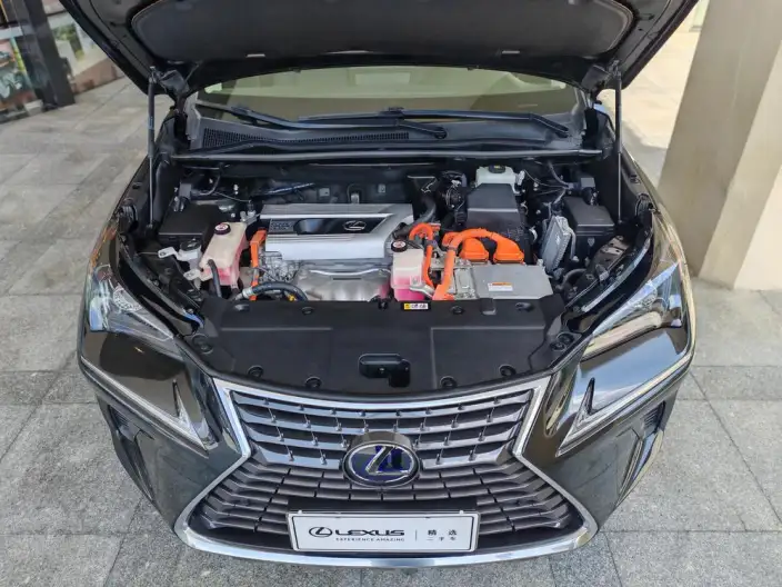 Lexus NX 2020 Model 300h Qian Drive Fengshang Edition China VI – фото 5
