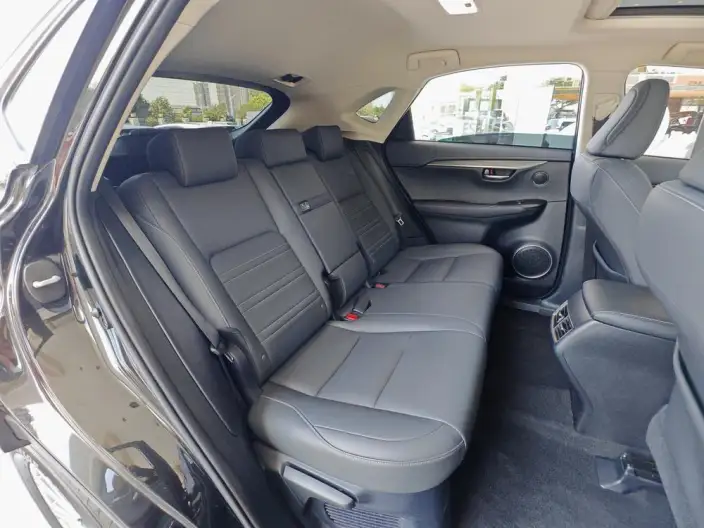 Lexus NX 2020 Model 300h Qian Drive Fengshang Edition China VI – фото 6