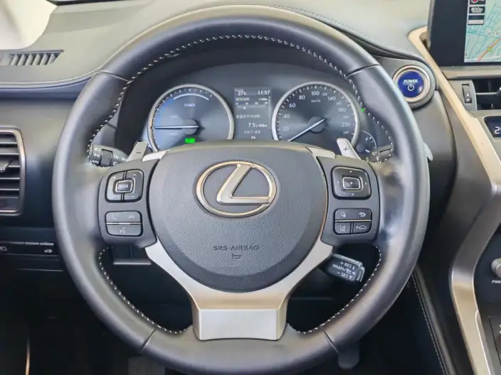 Lexus NX 2020 Model 300h Qian Drive Fengshang Edition China VI – фото 10