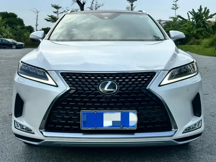 Lexus RX 2020 Model Facelift 300 4WD Elegant Edition – фото 2