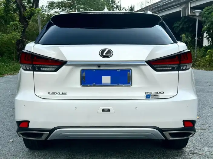 Lexus RX 2020 Model Facelift 300 4WD Elegant Edition – фото 5