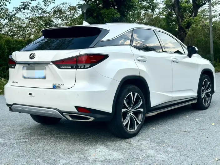 Lexus RX 2020 Model Facelift 300 4WD Elegant Edition – фото 6