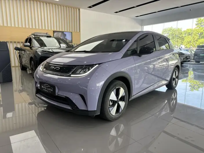 BYD Dolphin 2023 Model Fashion Edition – фото 1