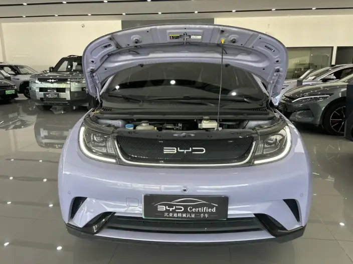 BYD Dolphin 2023 Model Fashion Edition – фото 2