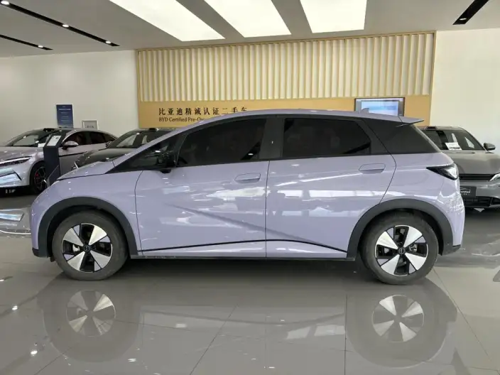 BYD Dolphin 2023 Model Fashion Edition – фото 4