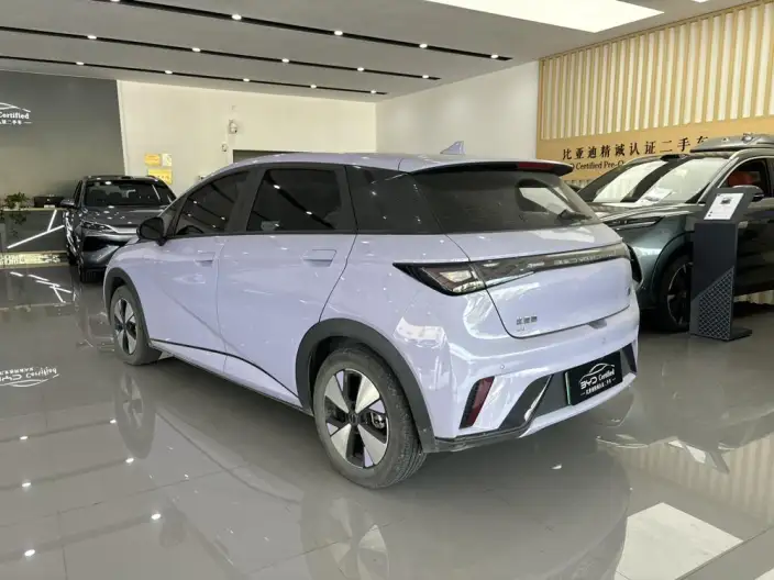BYD Dolphin 2023 Model Fashion Edition – фото 5