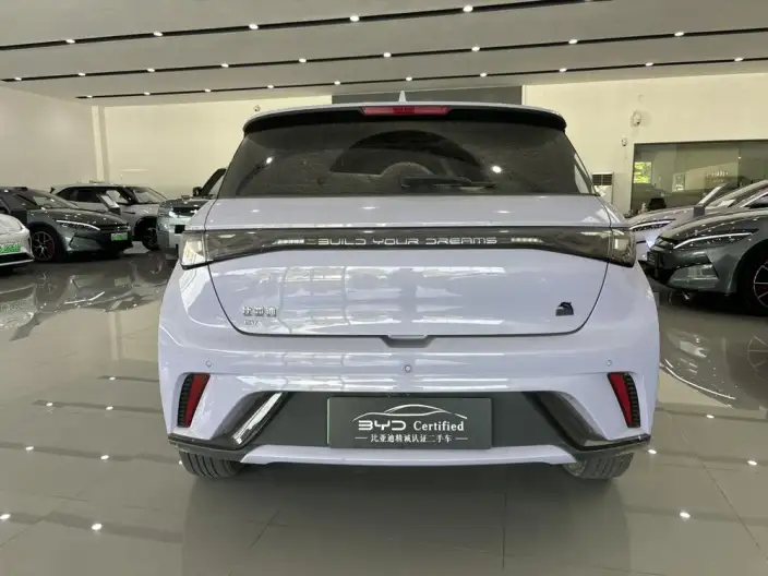 BYD Dolphin 2023 Model Fashion Edition – фото 6