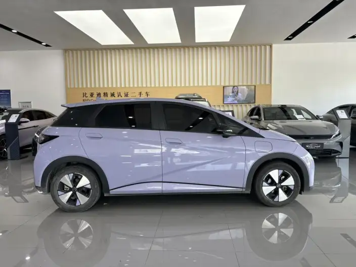 BYD Dolphin 2023 Model Fashion Edition – фото 8