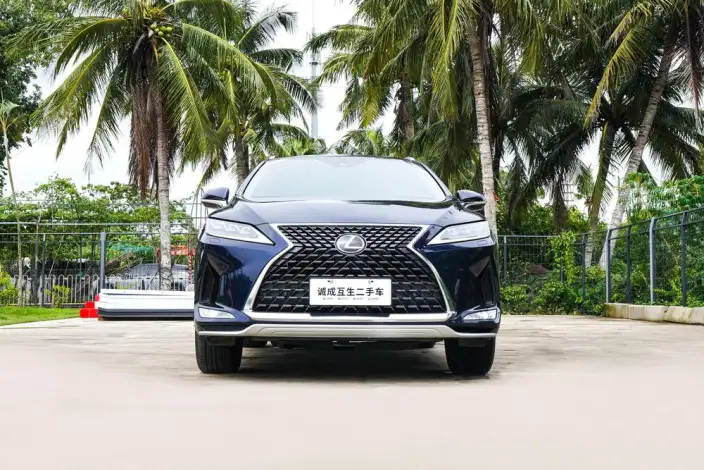 Lexus RX 2020 Model 300 4WD Elegant Edition China VI – фото 2