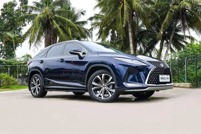 Lexus RX 2020 Model 300 4WD Elegant Edition China VI – фото 3