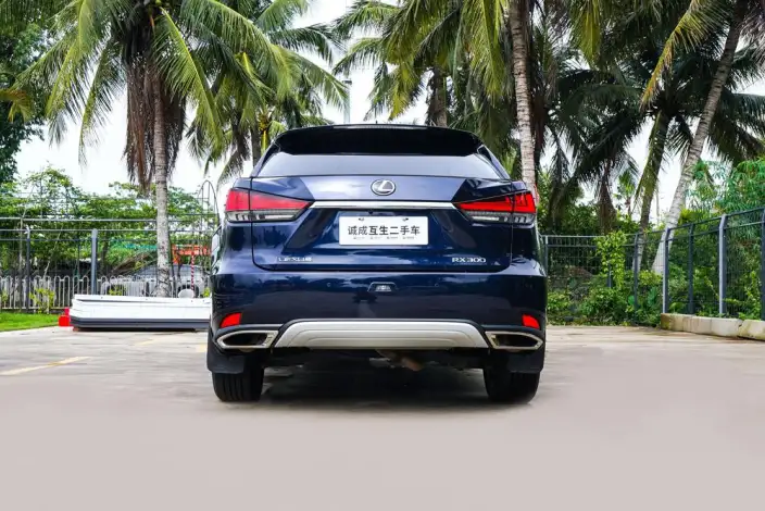 Lexus RX 2020 Model 300 4WD Elegant Edition China VI – фото 4