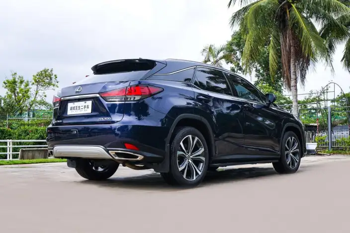 Lexus RX 2020 Model 300 4WD Elegant Edition China VI – фото 5