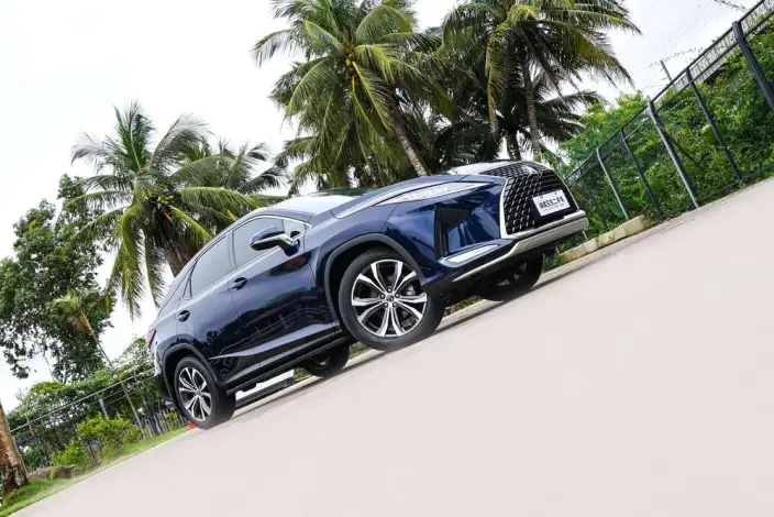 Lexus RX 2020 Model 300 4WD Elegant Edition China VI – фото 7