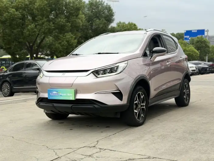 Yuan Pro 2023 Model 401KM Luxury Model – фото 1
